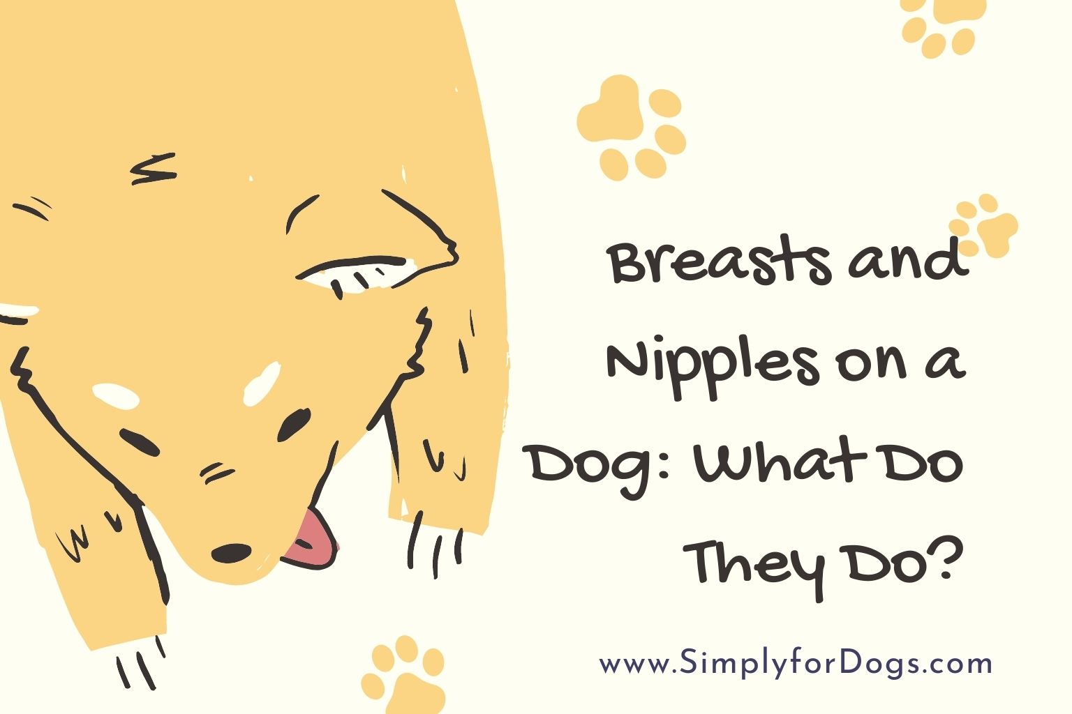 Breasts and Nipples on a Dog_ What Do They Do, and What Could Go Wrong_