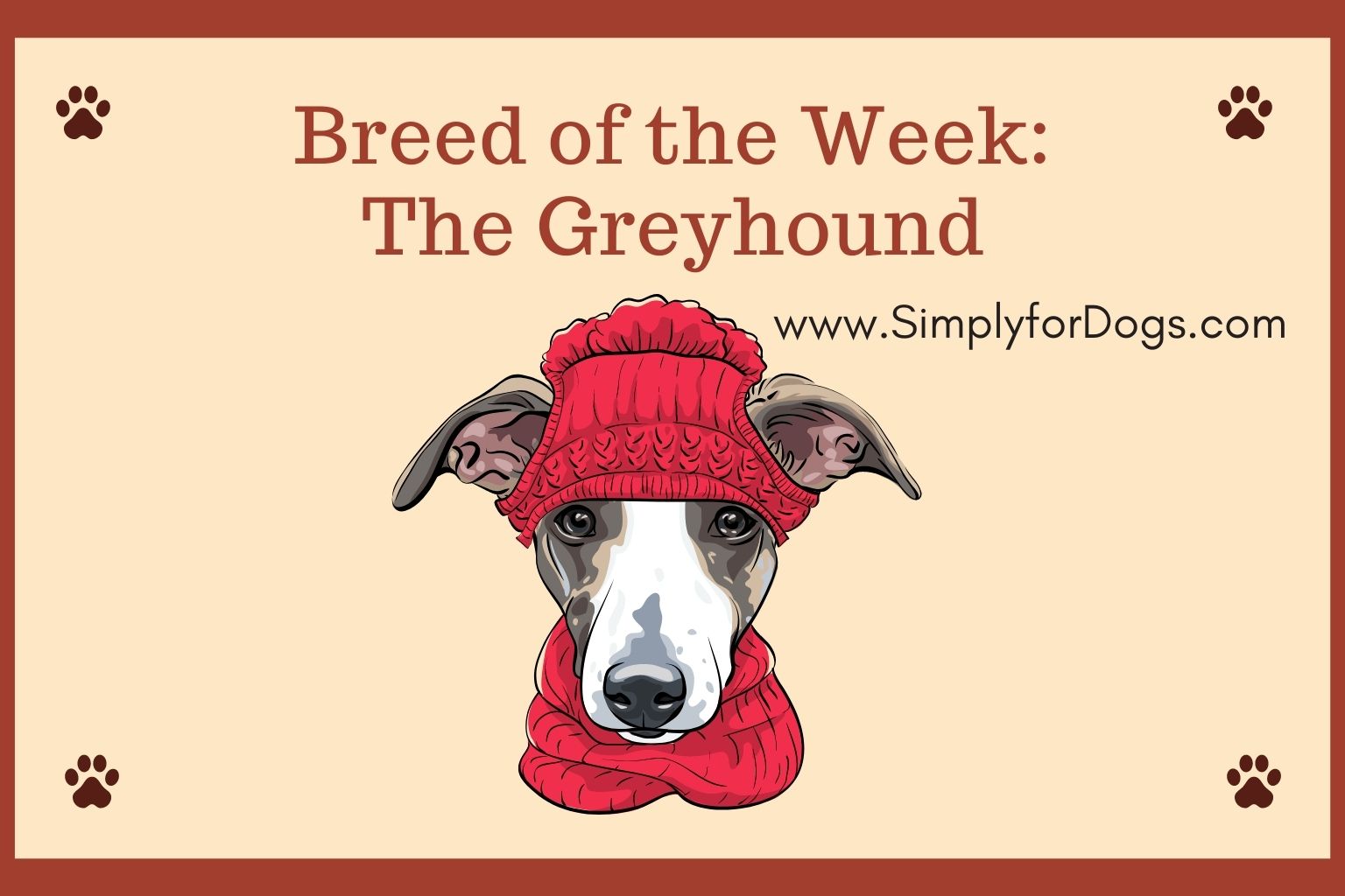 Breed of the Week_ The Greyhound