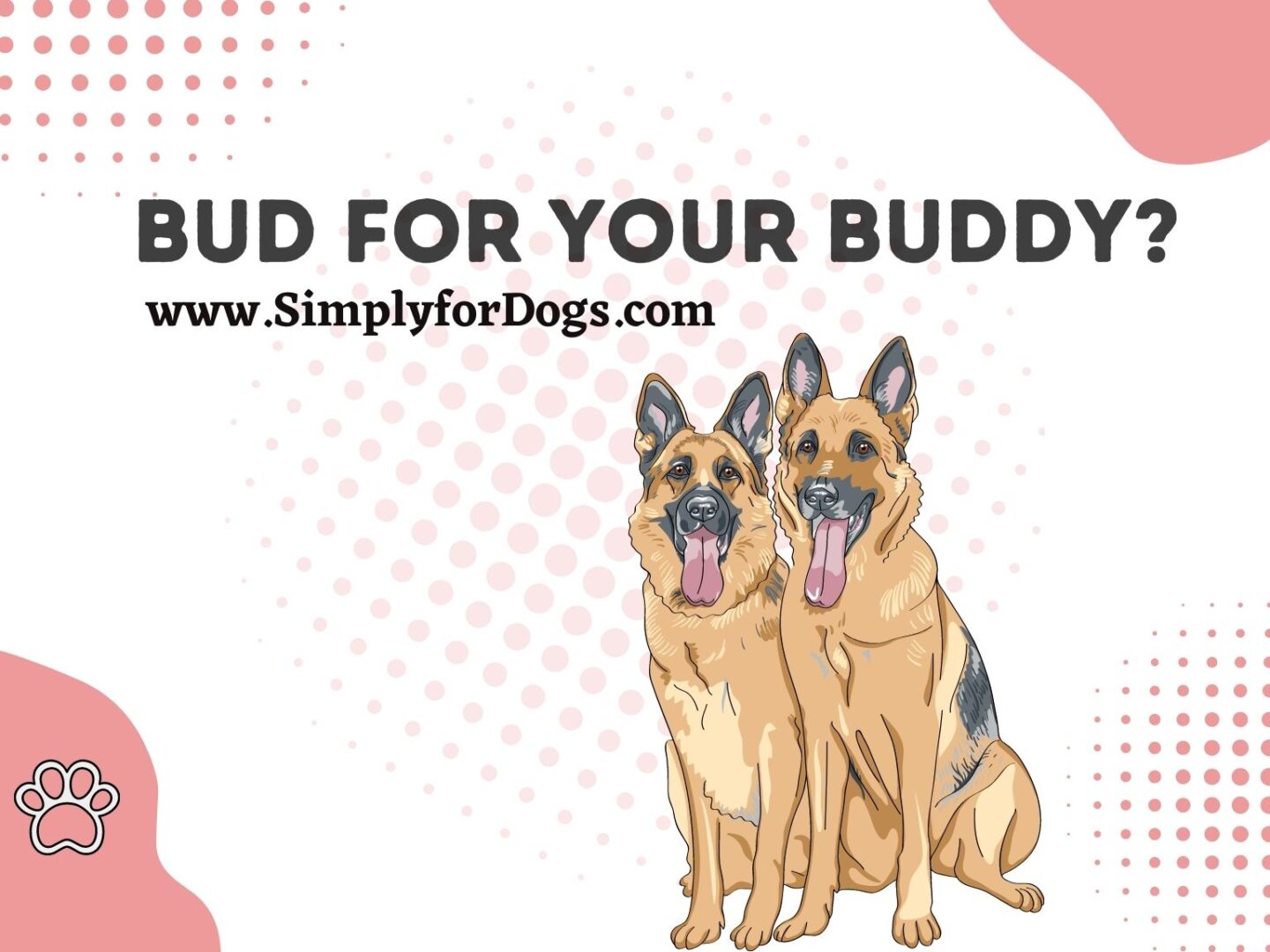 Bud for Your Buddy
