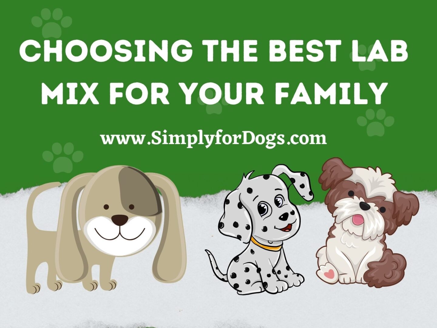 Choosing the Best Lab Mix for Your Family
