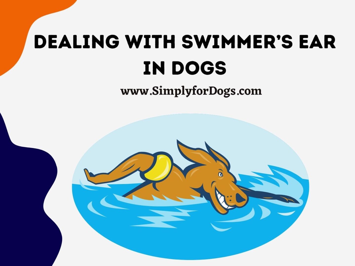 Dealing with Swimmer’s Ear in Dogs
