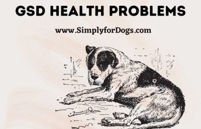 GSD Health Problems