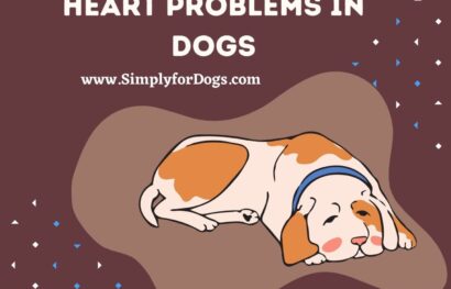 Heart Problems in Dogs