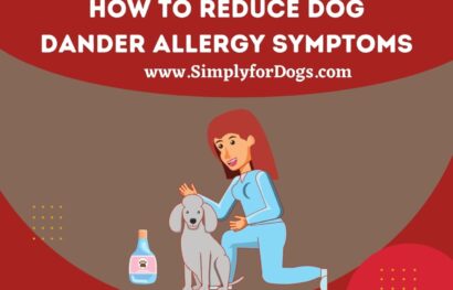 How to Reduce Dog Dander Allergy Symptoms