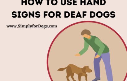 How to Use Hand Signs for Deaf Dogs