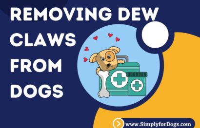 Removing Dew Claws from Dogs