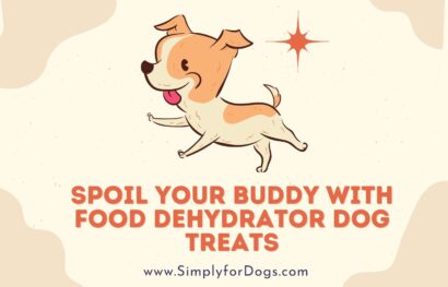 Spoil Your Buddy with Food Dehydrator Dog Treats
