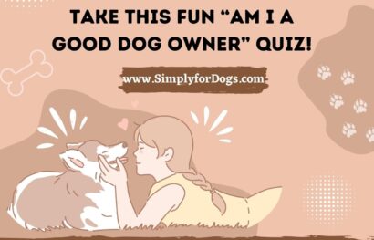 Take This Fun “Am I a Good Dog Owner” Quiz!