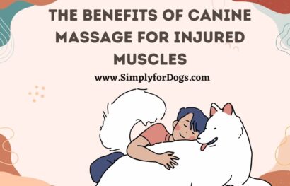 The Benefits of Canine Massage for Injured Muscles