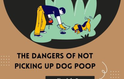 The Dangers of Not Picking Up Dog Poop