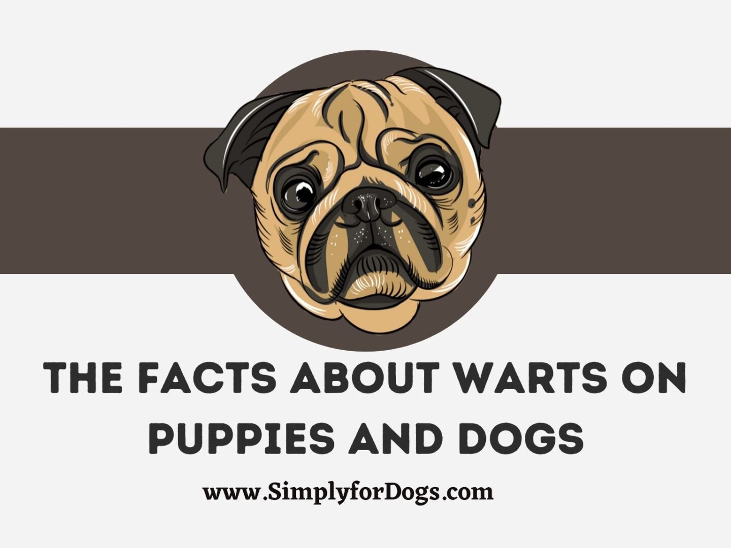 The Facts About Warts on Puppies and Dogs