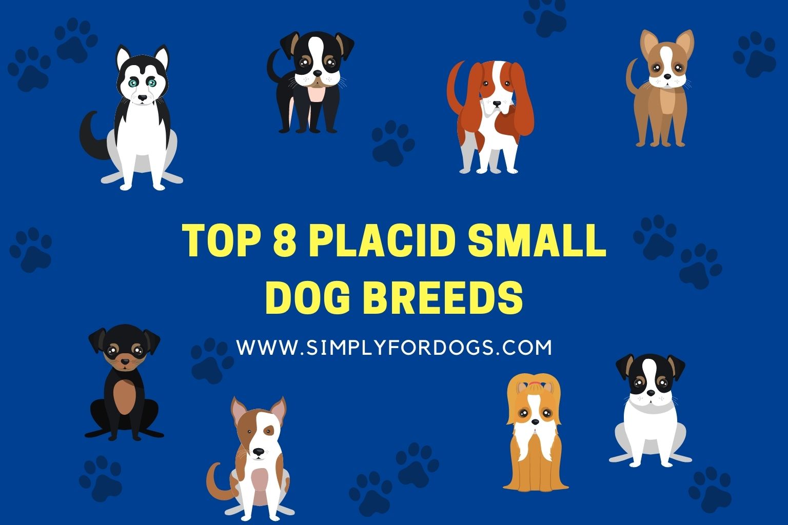 Top 8 Placid Small Dog Breeds