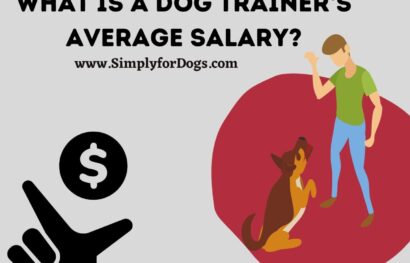 What is a Dog Trainer’s Average Salary_