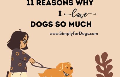 11 Reasons Why I Love Dogs So Much