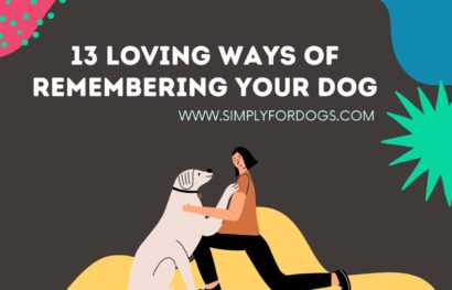 13 Loving Ways of Remembering Your Dog