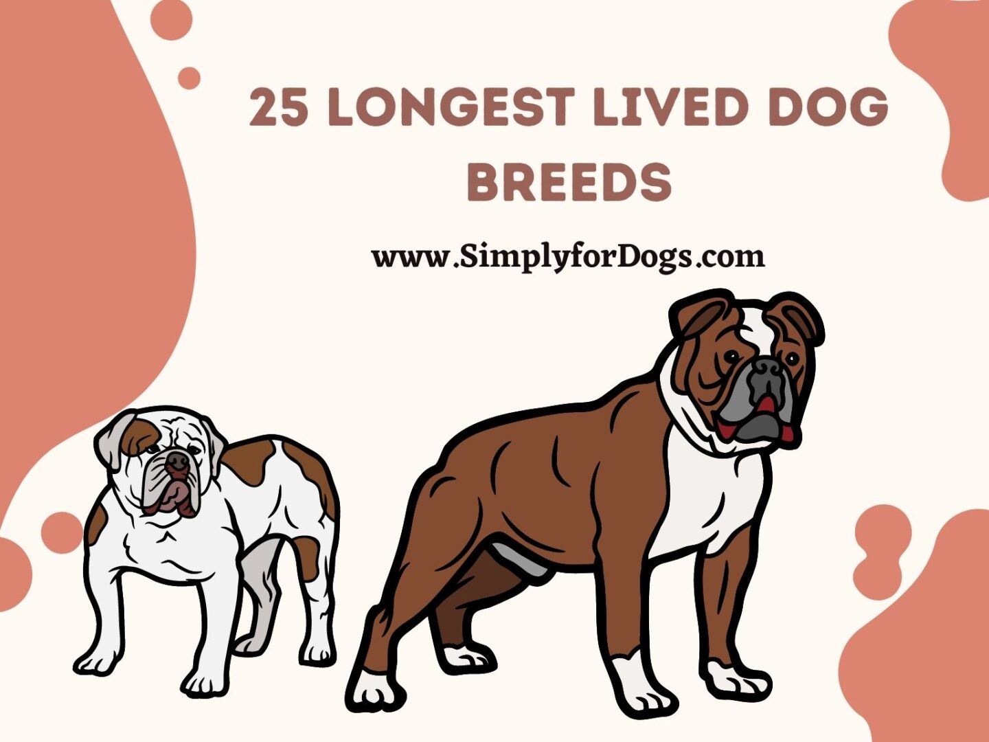 25 Longest Lived Dog Breeds