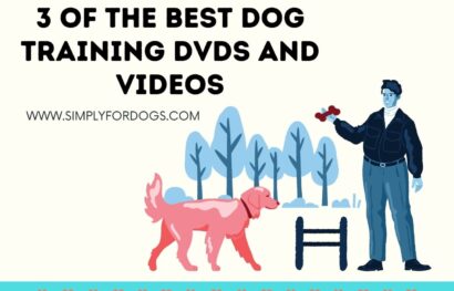 3 of the Best Dog Training DVDs and Videos