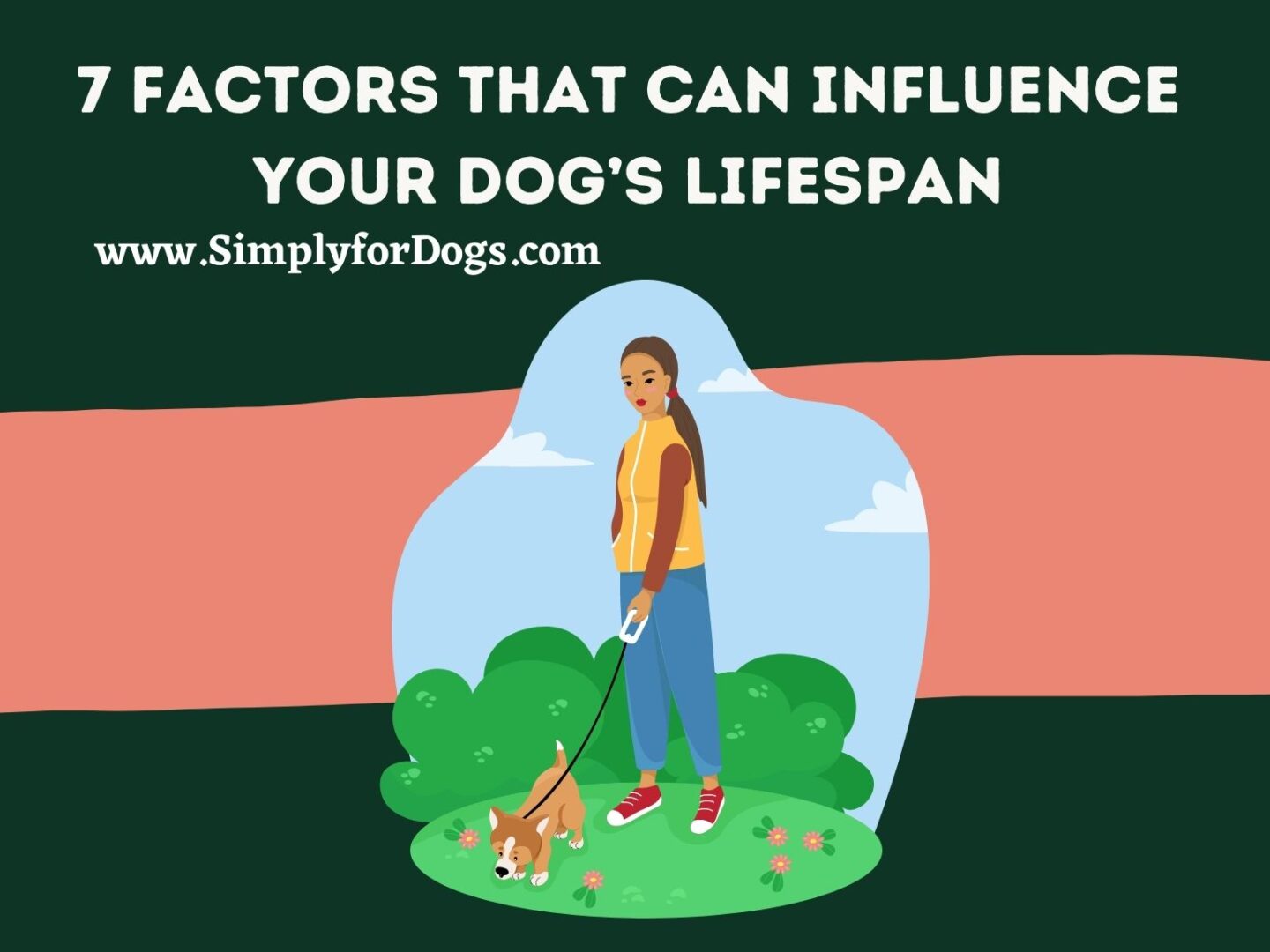 7 Factors That Can Influence Your Dog’s Lifespan