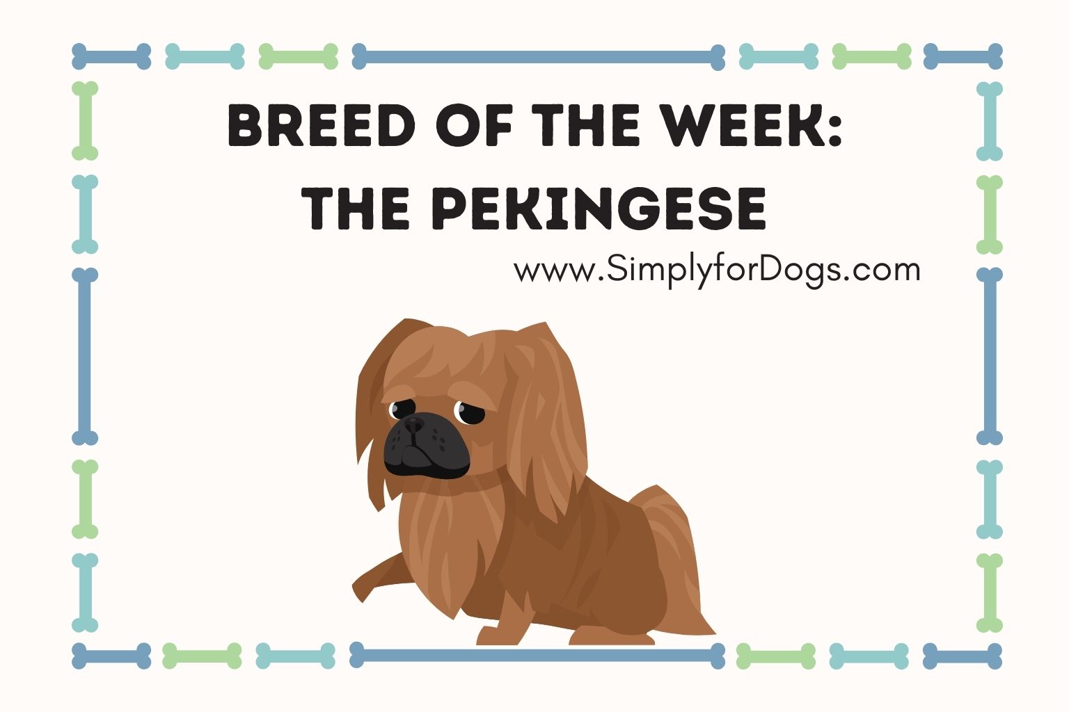 Breed of the Week_ The Pekingese