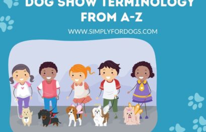Dog Show Terminology from A-Z