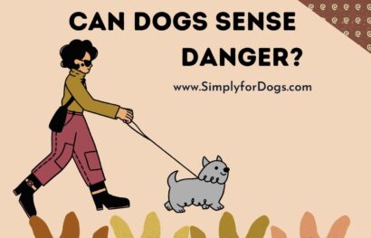 Dogs-Sense-Danger