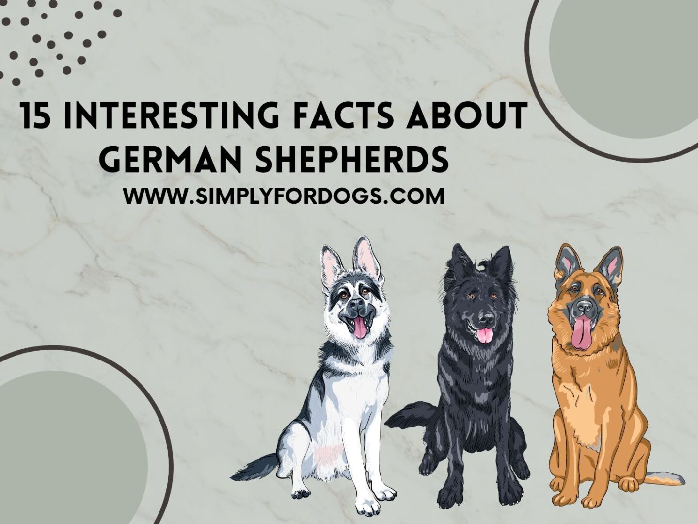 German-Shepherds