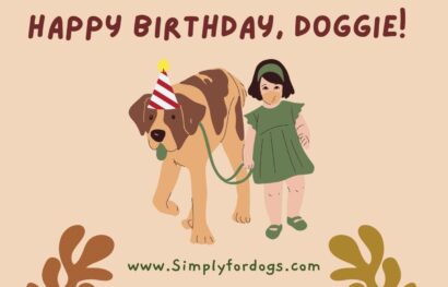 Happy Birthday, Doggie!