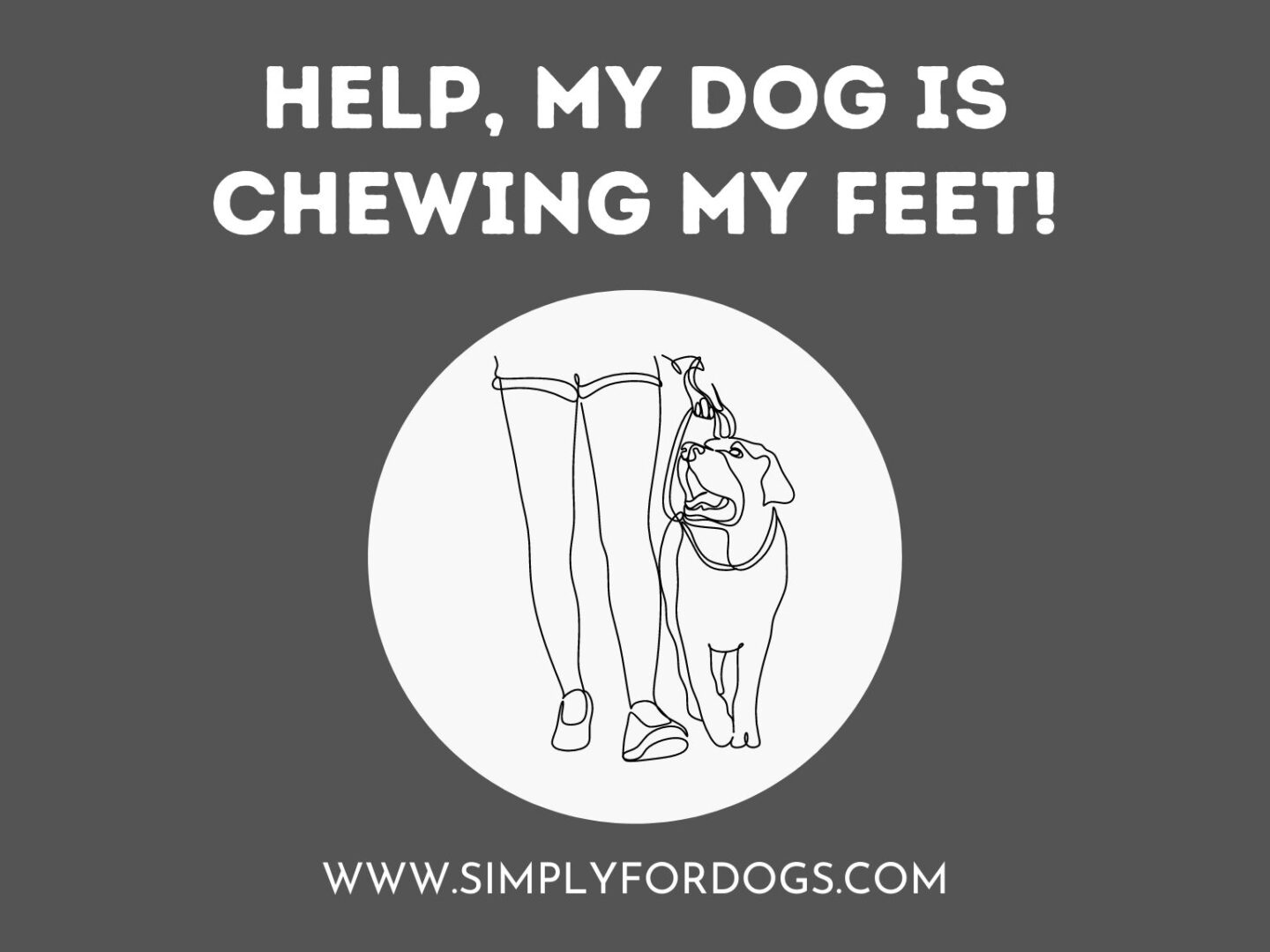 Help, My Dog Is Chewing My Feet!