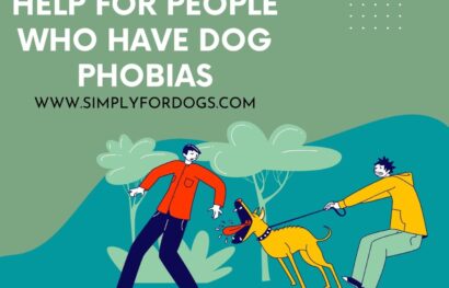 Help for People Who Have Dog Phobias