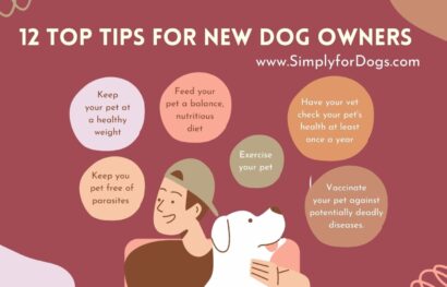 New-Dog-owners