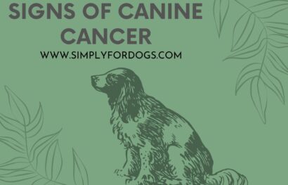 Signs of Canine Cancer