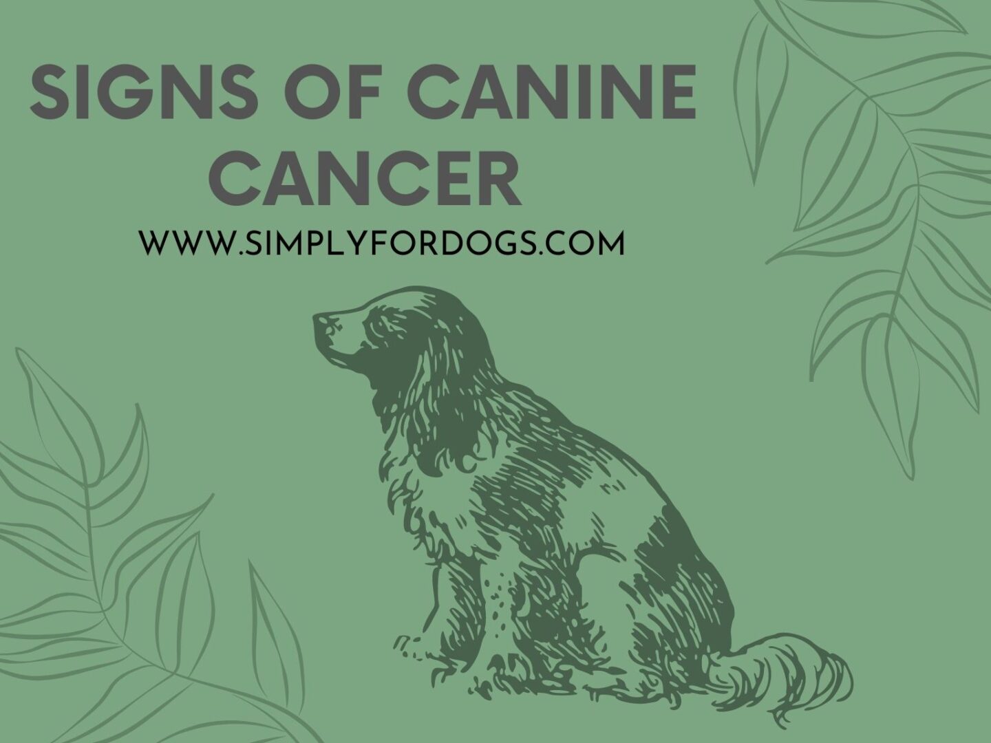 Signs of Canine Cancer