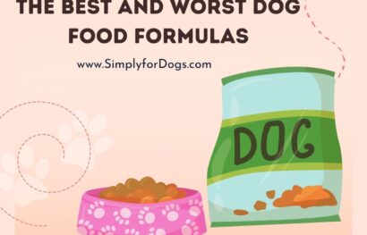 The Best and Worst Dog Food Formulas