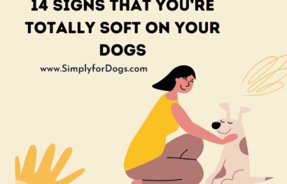 14 Signs that you’re Totally Soft on Your Dogs