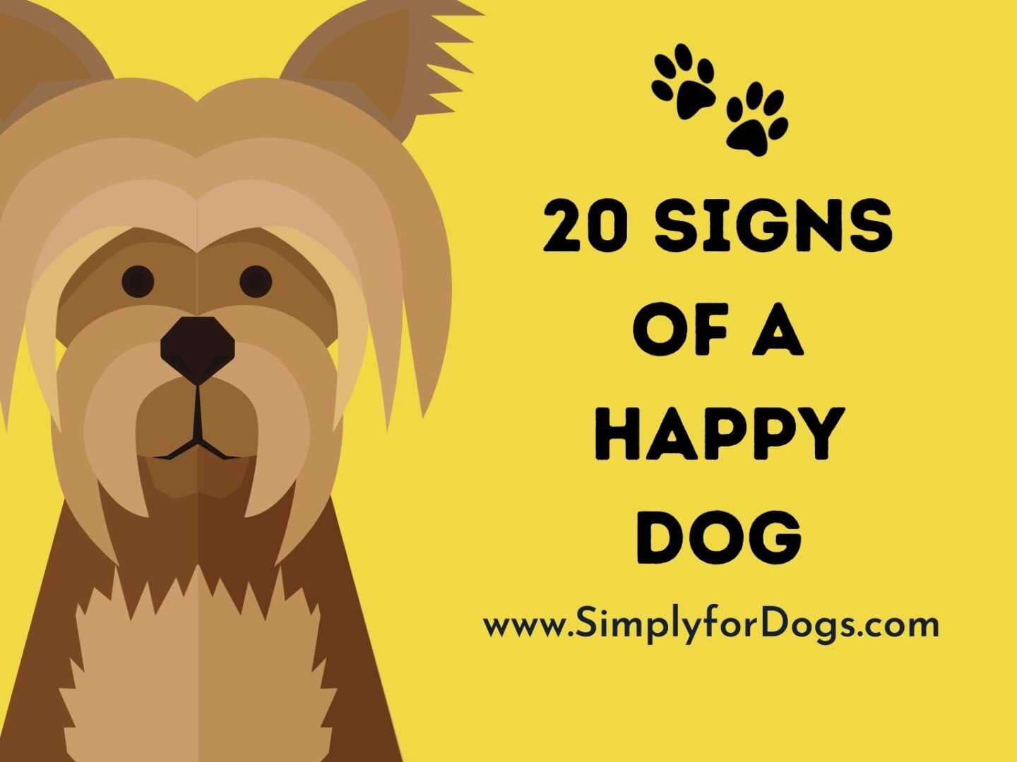 20 Signs of a Happy Dog