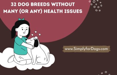 32 Dog Breeds Without Many (or Any) Health Issues