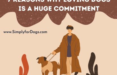 7 Reasons Why Loving Dogs Is a Huge Commitment
