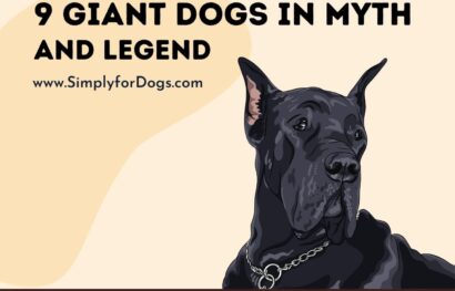 9 Giant Dogs in Myth