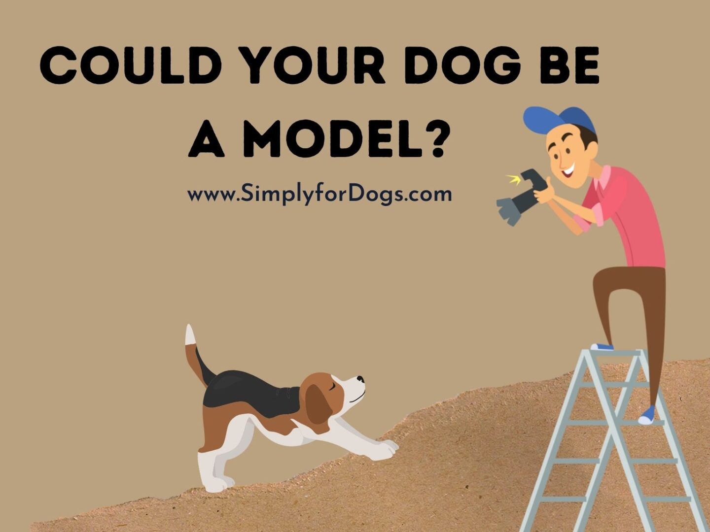 Could Your Dog Be a Model_