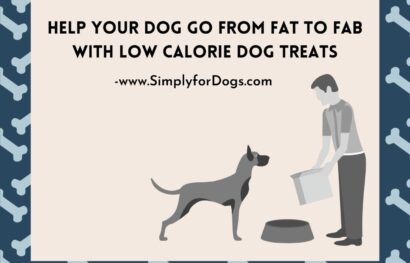 Help Your Dog Go from Fat to Fab with Low Calorie Dog Treats