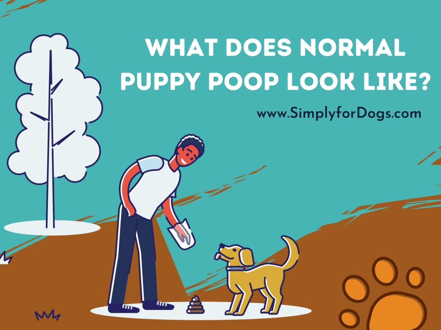 Normal-Puppy-Poop