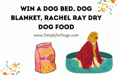 Win A Dog Bed, Dog Blanket, Rachel Ray Dry Dog Food