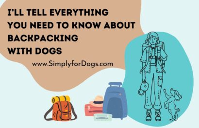 I’ll tell Everything You Need to Know About Backpacking with Dogs
