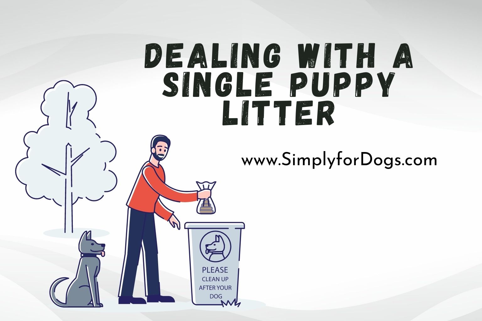 Dealing With a Single Puppy Litter