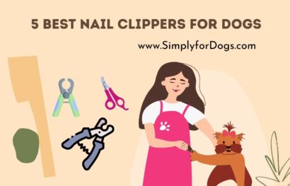 5 Best Nail Clippers for Dogs