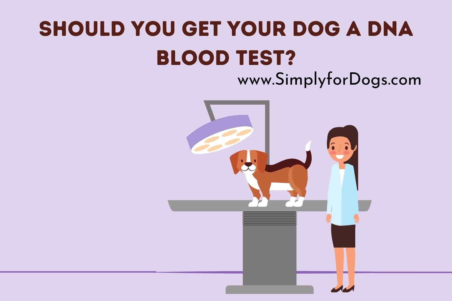 Should You Get Your Dog a DNA Blood Test