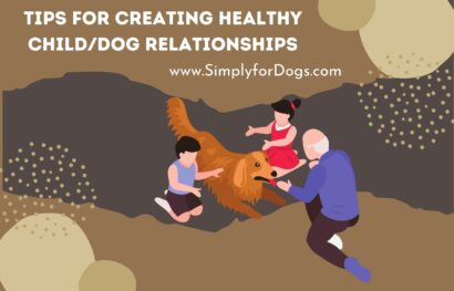 Tips for Creating Healthy Child_Dog Relationships