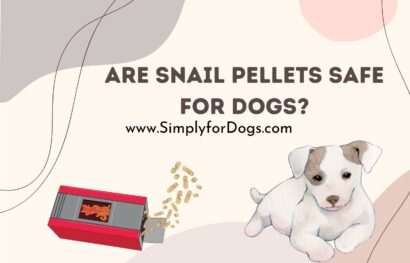 Are Snail Pellets Safe for Dogs