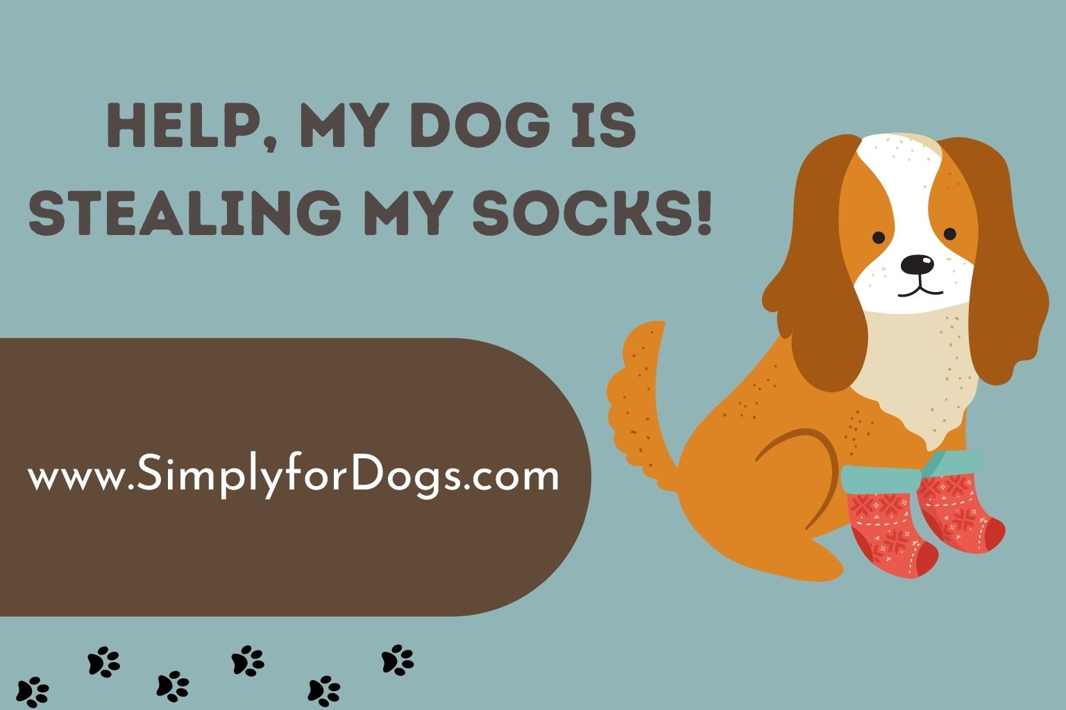 Help, My Dog is Stealing My Socks!