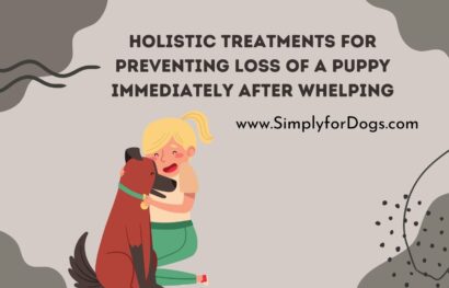 Holistic Treatments for Preventing Loss of a Puppy Immediately After Whelping
